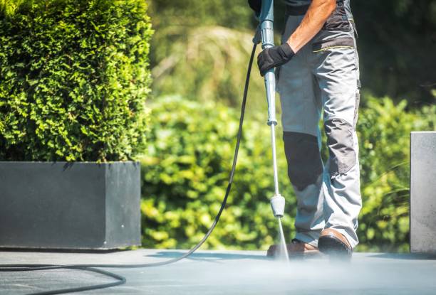 Best Parking Lot Cleaning in Victoria, MN