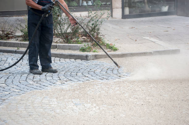 Best Residential Pressure Washing in Victoria, MN