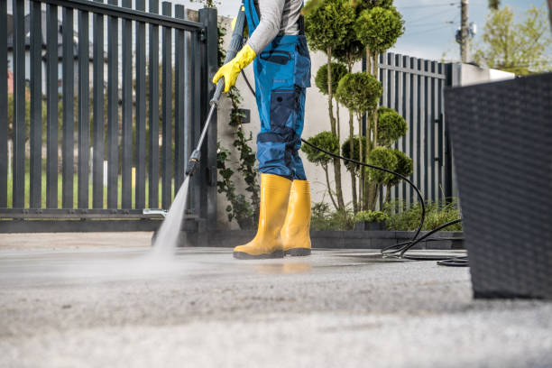 Best Soft Washing for Delicate Surfaces in Victoria, MN