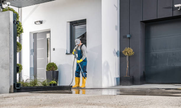Best Driveway Cleaning and Restoration in Victoria, MN